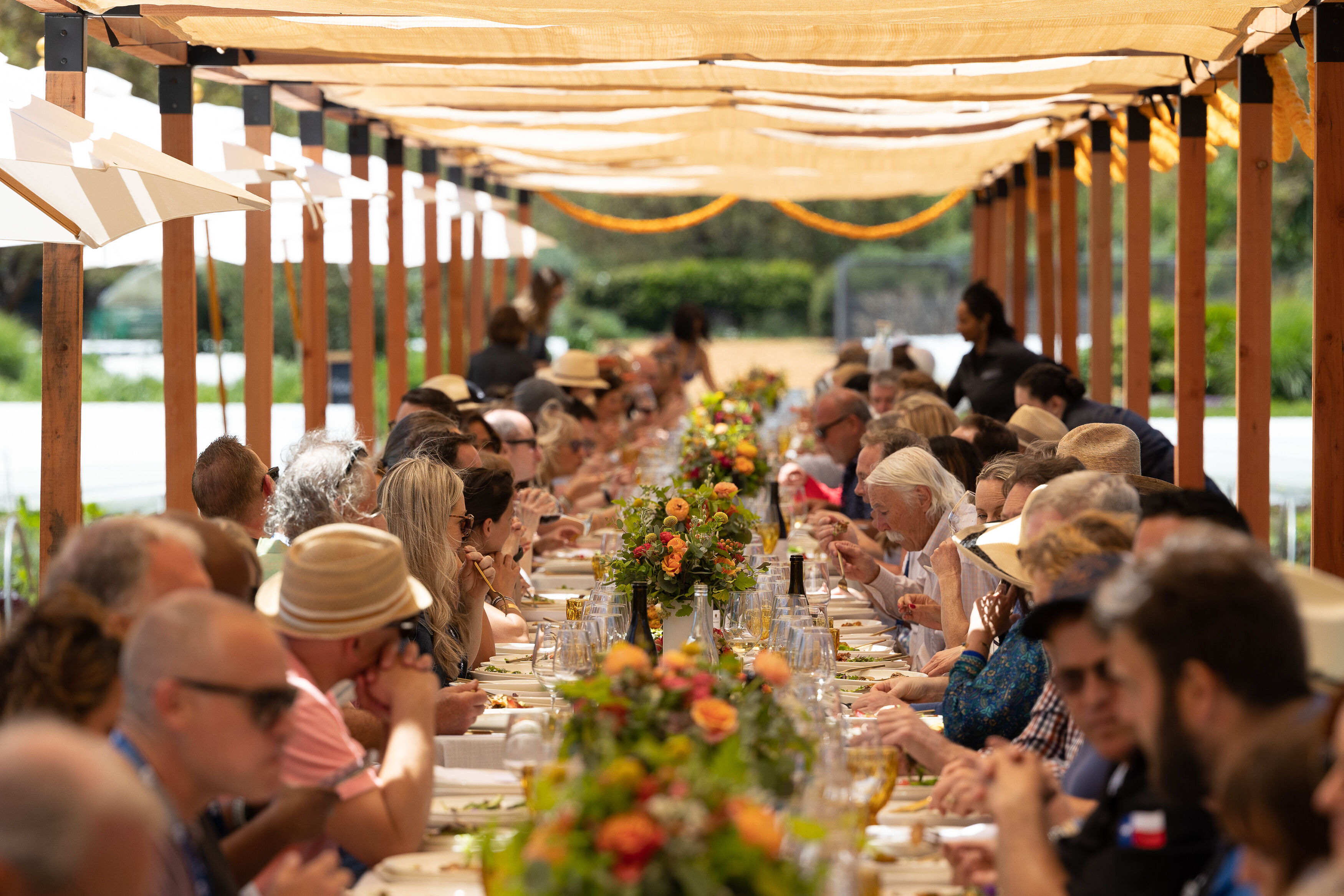 Farm to Dinner Table Farm to Dinner Table
